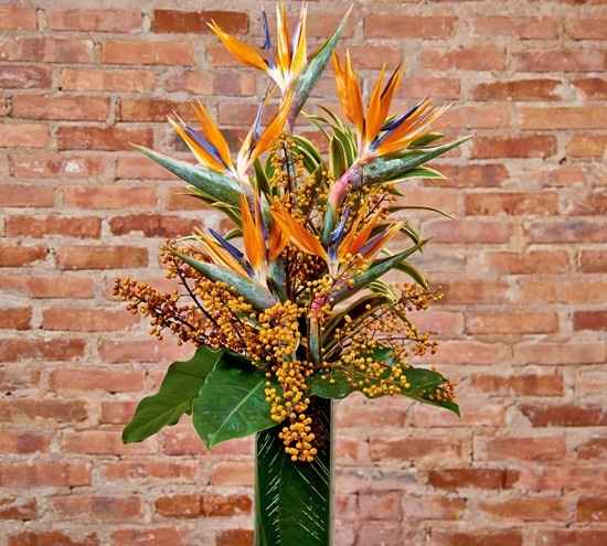Arranjo de strelitzia