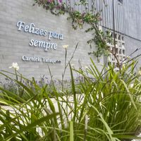 Cartório bonito em Curitiba - 1