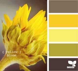 Cores da minha decoração