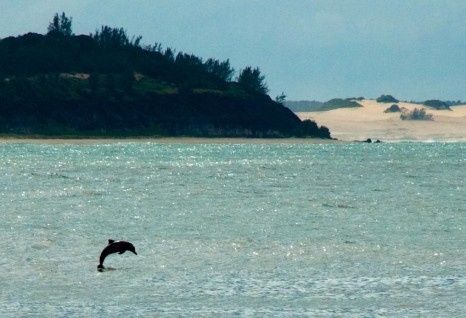 Praia do Pipa