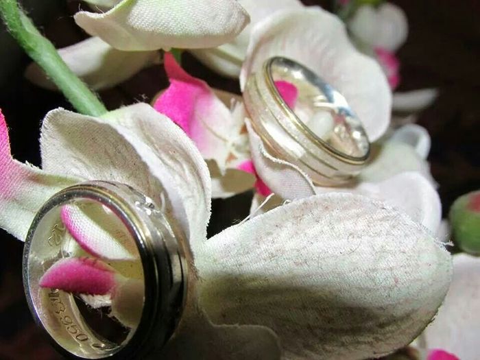 Meu "noivado"15//04/2012 - 12