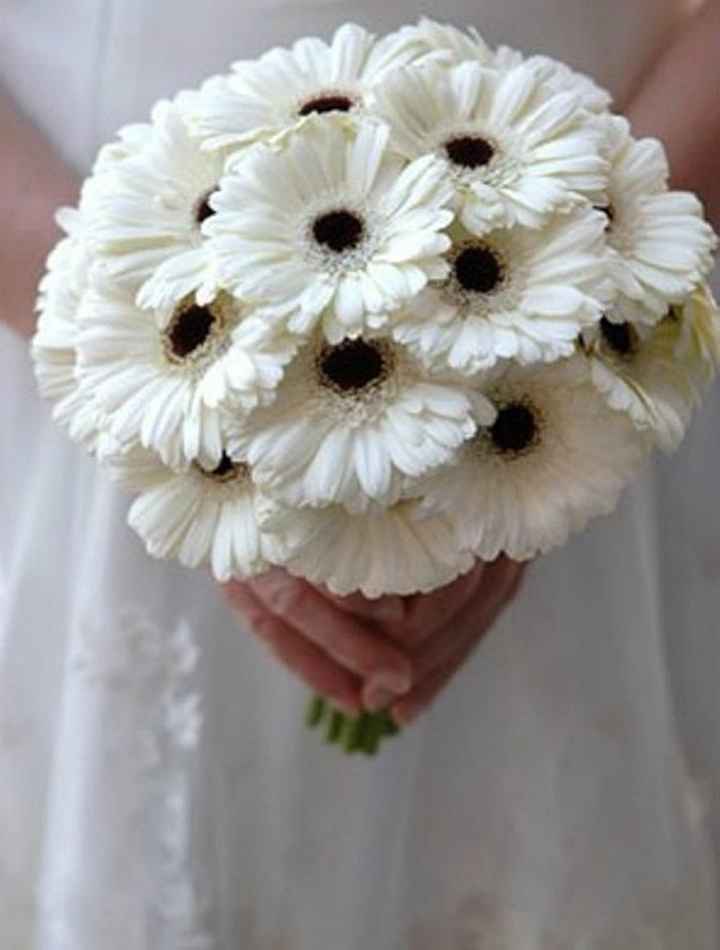 Gerbera - Alegria 