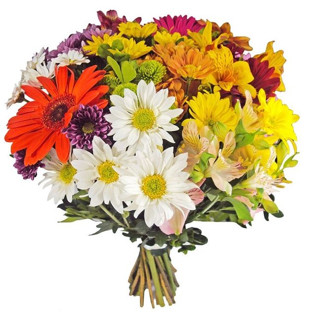 mix de flores do campo 