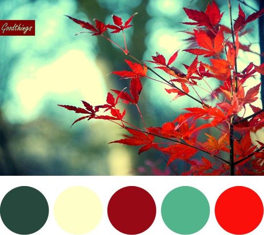 cores diversas