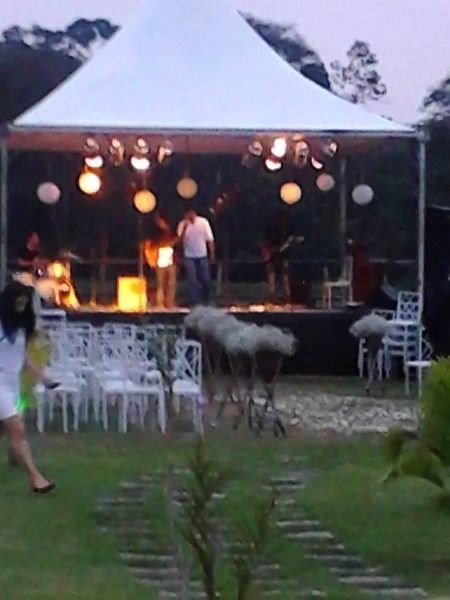 Casamento da minha prima!!!! :D - 11