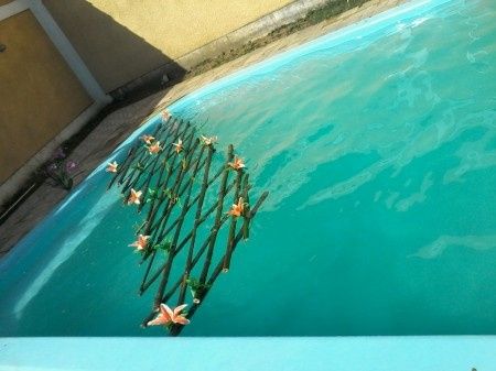 Arranjo da piscina