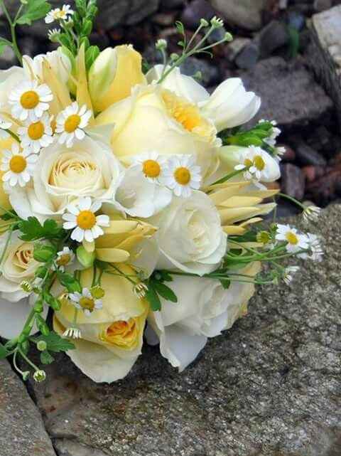 Flores muito lindas - 8
