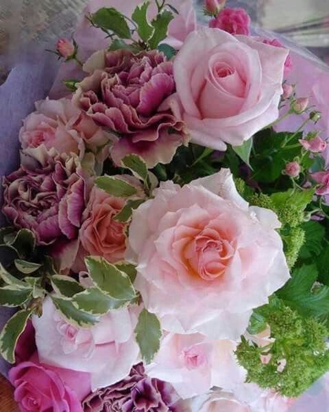 Flores muito lindas - 5
