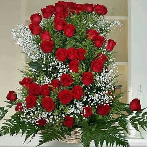 Flores muito lindas - 6