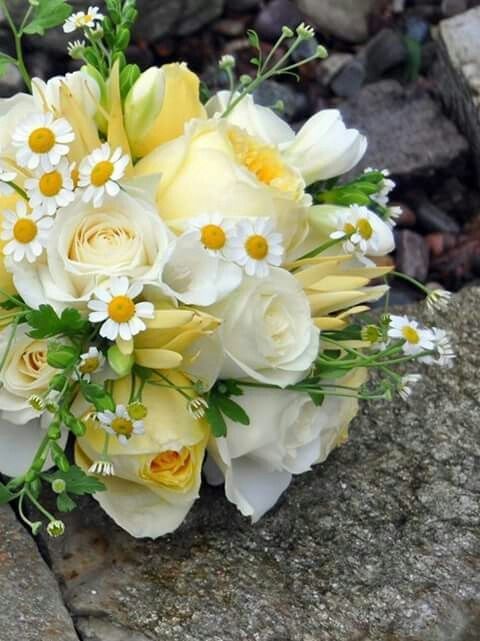 Flores muito lindas - 8