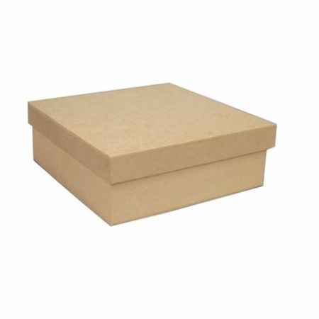 Caixa Tampa de Sapato Lisa 20X20x10 