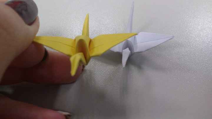 DIY Tsurus