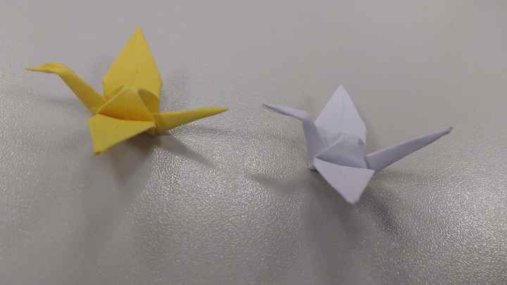DIY Tsurus