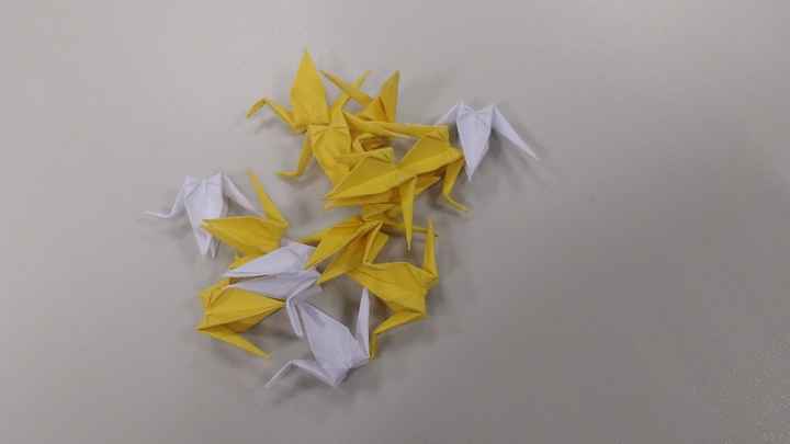 DIY Tsurus