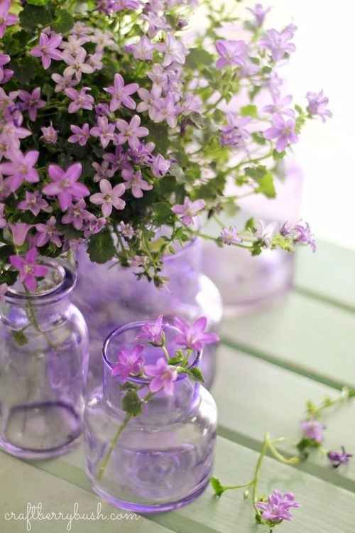 Casamento roxo e lilás