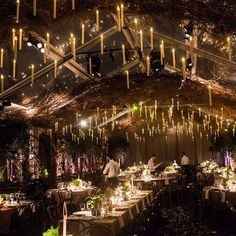Casamento Harry Potter