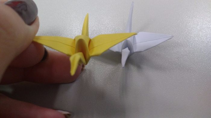 DIY Tsurus