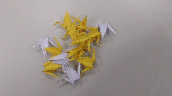 DIY Tsurus