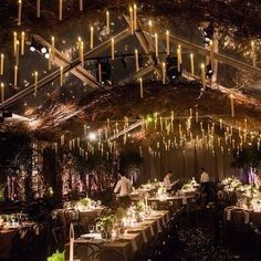 Casamento Harry Potter