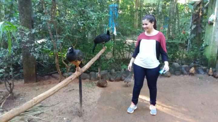 Parque das Aves