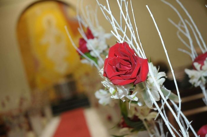 Decoração!!! #vemver #vemmeajudar - 3