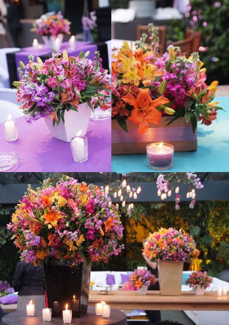 Flores e cores