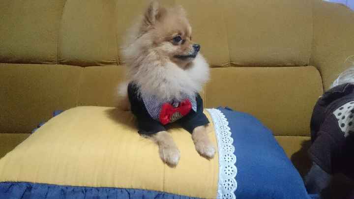 Meu pajem - 2