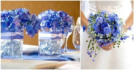 Flores