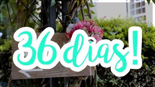 36 dias - Aos poucos a ficha cai - Casamento Carol e Carlos