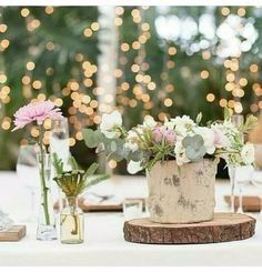 Inspira&ccedil;&atilde;o - Tronco de arvore na decora&ccedil;&atilde;o
