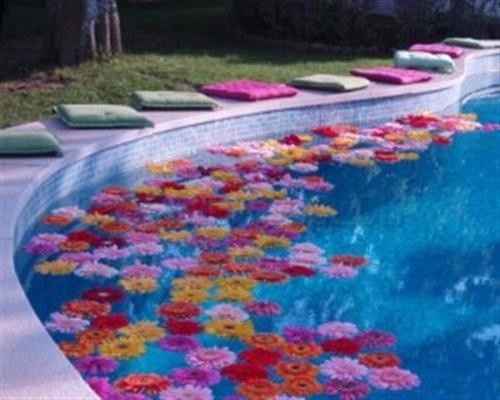 Decoração piscina
