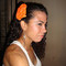 Fabi