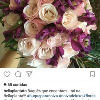 Meus fornecedores - em miranorte -to - 4