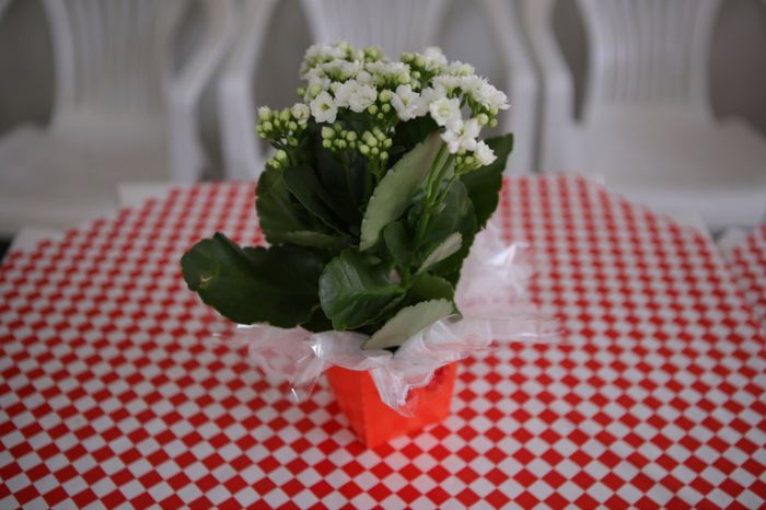 Chá Bar tema Master Chef 13