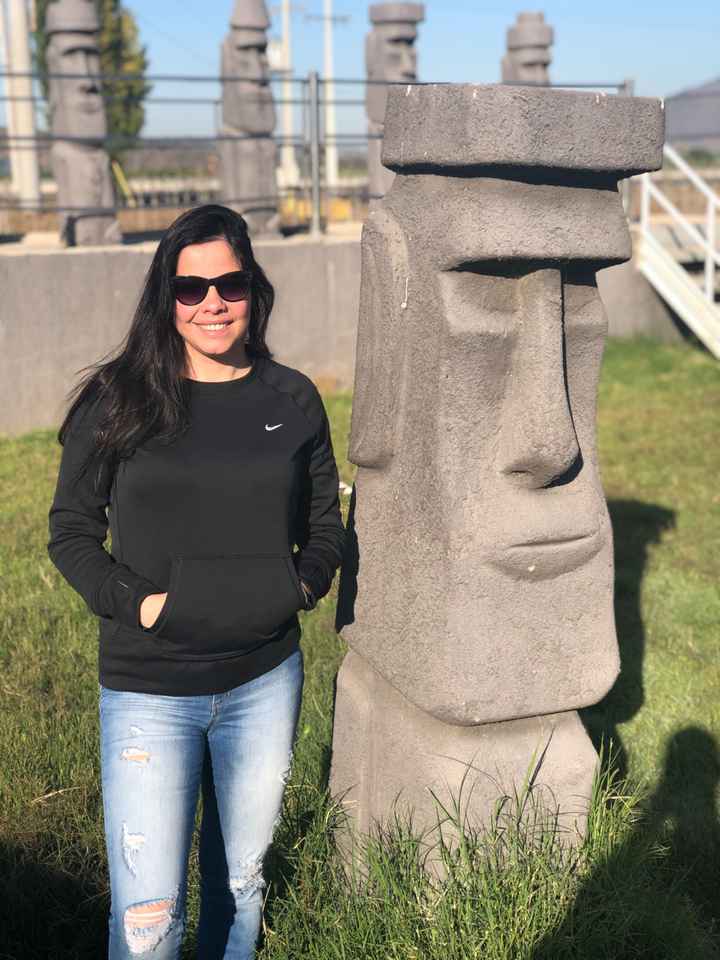 Minha lua de mel no Chile vem ver ! - 8