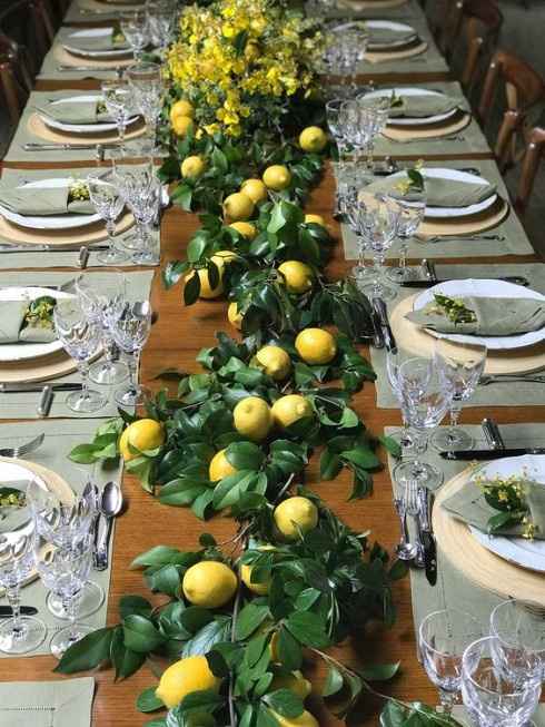 folhas e frutas