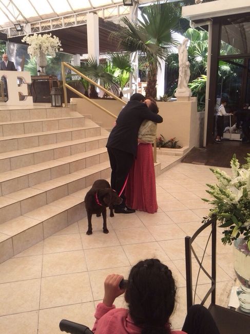 Fotos oficiais - morrendo de amores! - 2