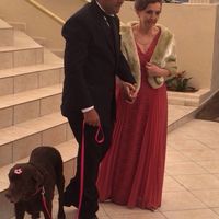 Cachorros - 1