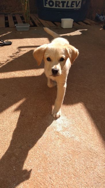 Novo membro da Familia 1