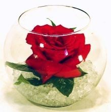 Arranjo para Mesa