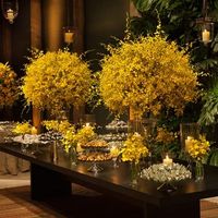 Alterar a cor da decoração? Eis a questão...