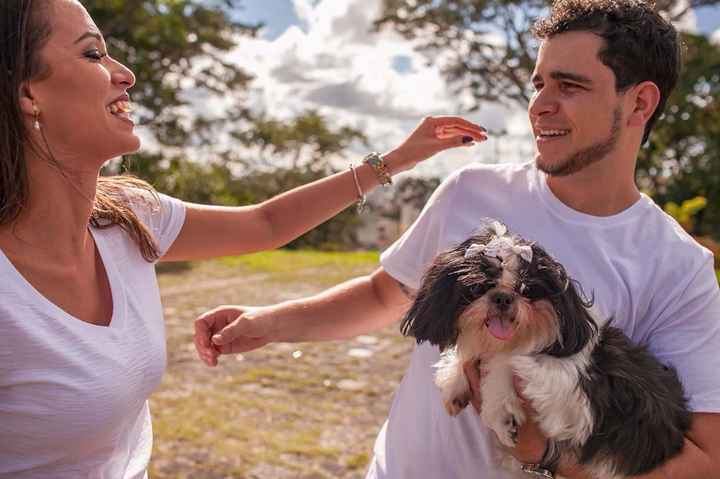 *--* fotos da Internet