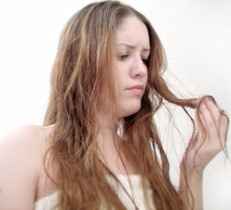 Foto da Internet