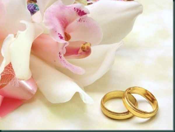 bodas