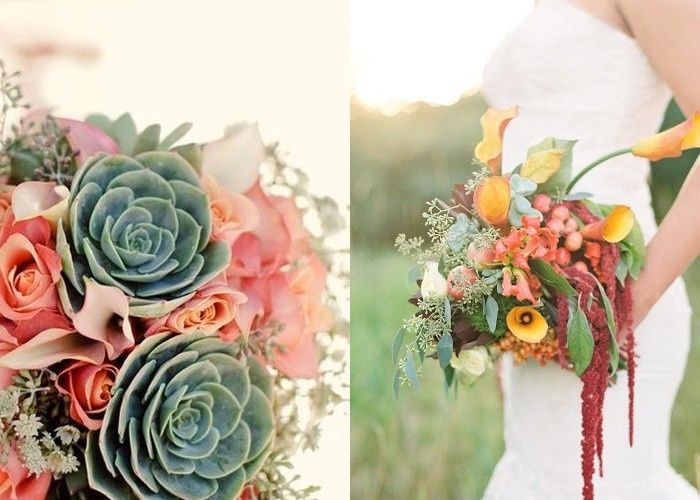 Buque com suculentas