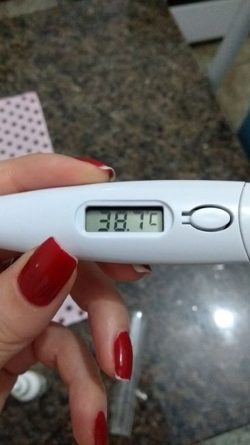 Casório chegando e tensão a mil - 1