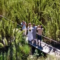 Casei! (elopement Wedding) - 5