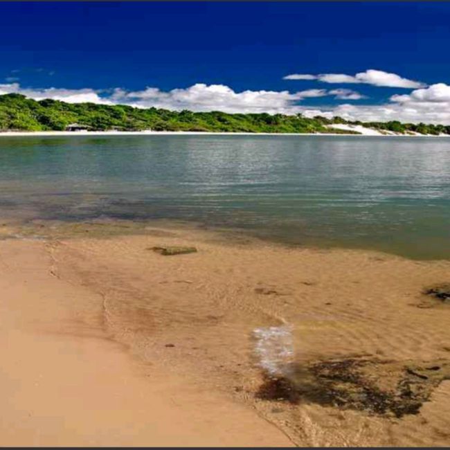 Maceió, Maragogi e Porto de galinha 3