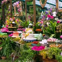 Inspiração para decoração diurna