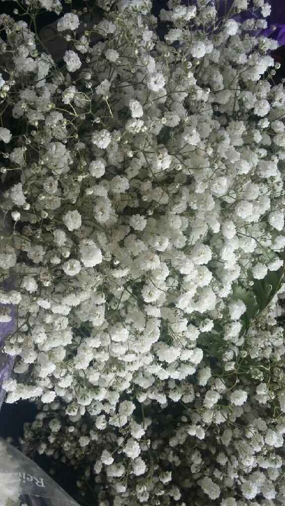 Flores do casamento - 4